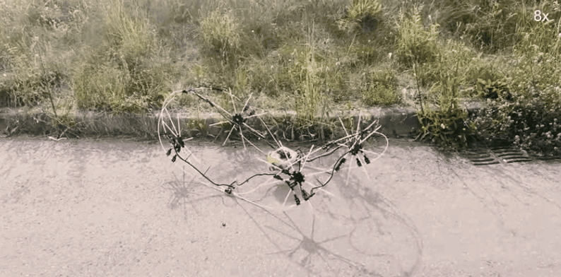 스위스 로잔연방공대(EPFL) 연구진이 개발한 로봇인 ‘GOAT’가 작동하는 모습. 유리섬유로 제작된 몸통을 자유자재로 변형시켜 다양한 지형에서 움직일 수 있다. EPFL 제공