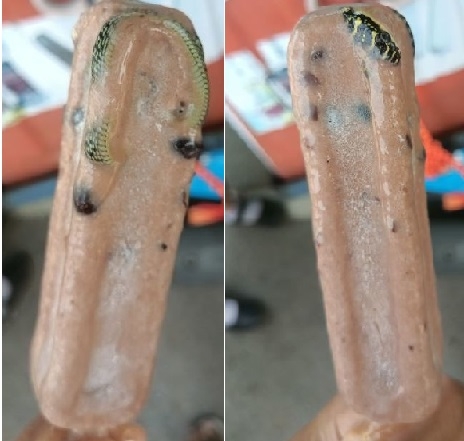 길거리아이스크림 이미지