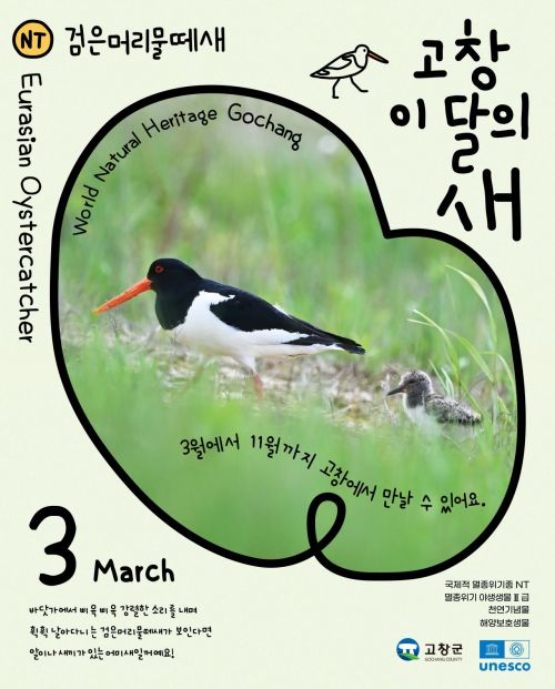 새 이미지