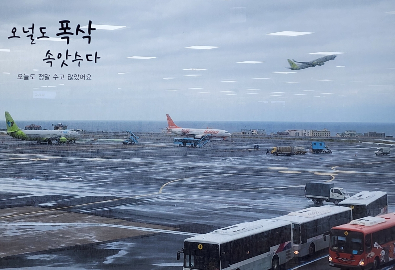 제주봄 이미지