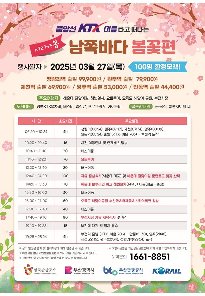 봄꽃처럼 이미지