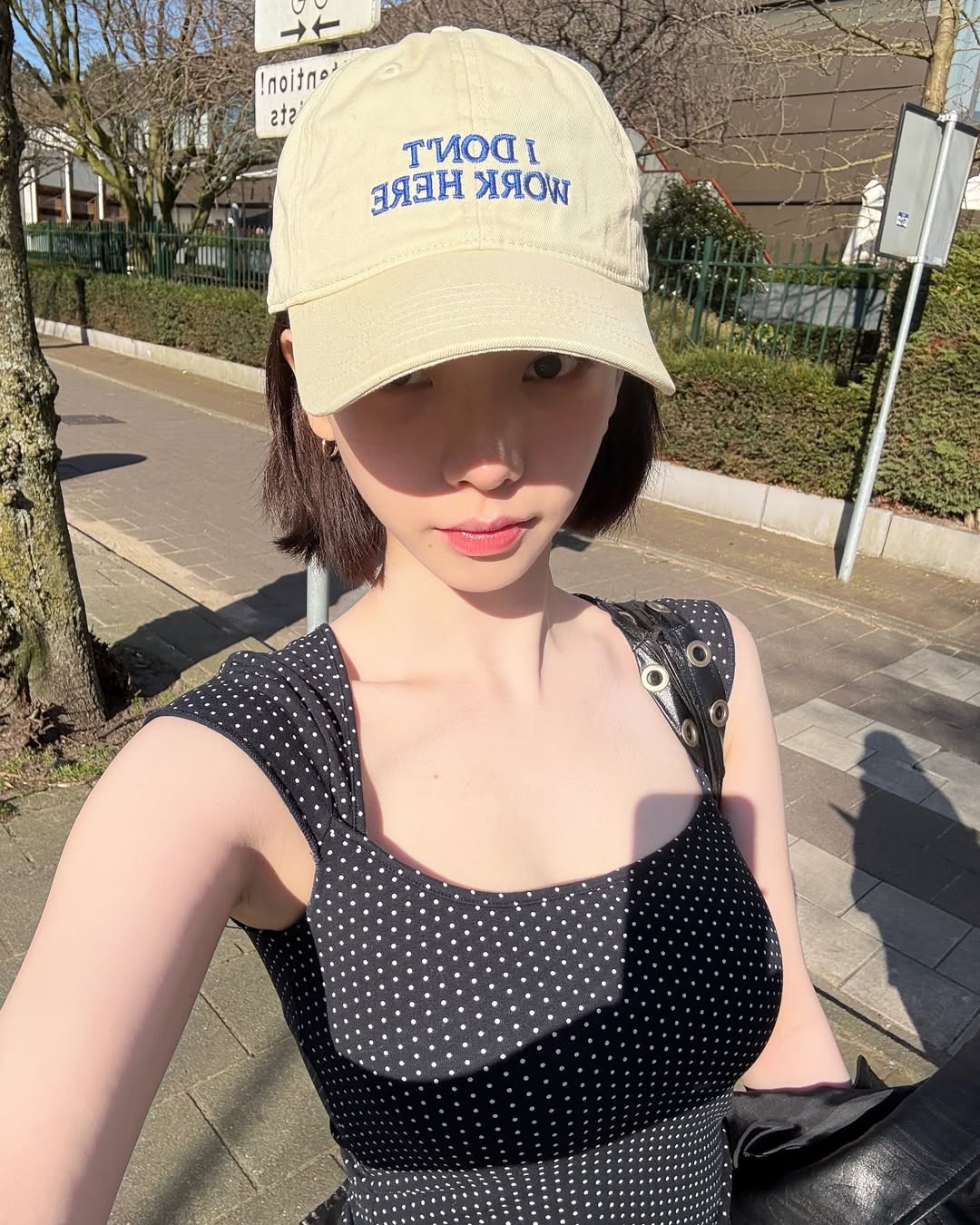 오시네 이미지