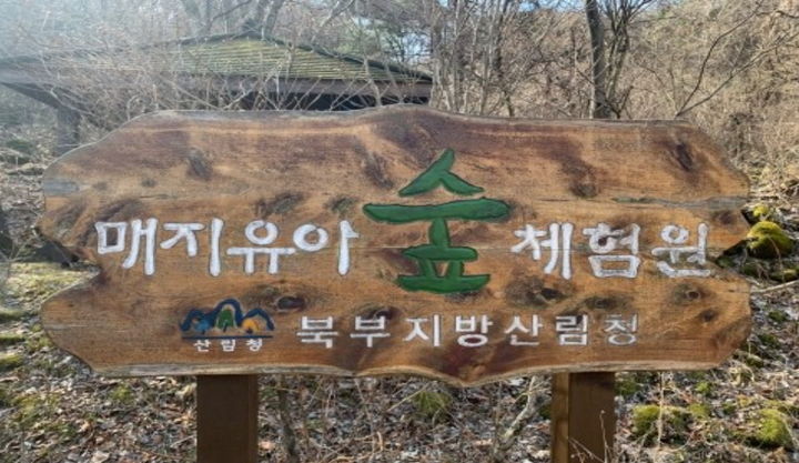 매지유아숲체험원 이미지