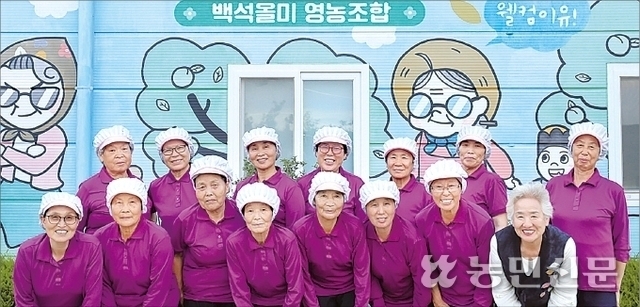 백석올미영농조합 이미지