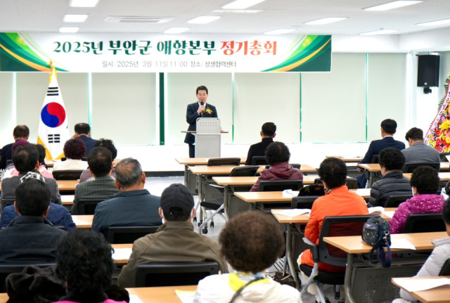 애향 이미지