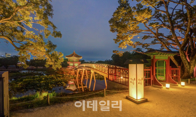 별빛하루 이미지
