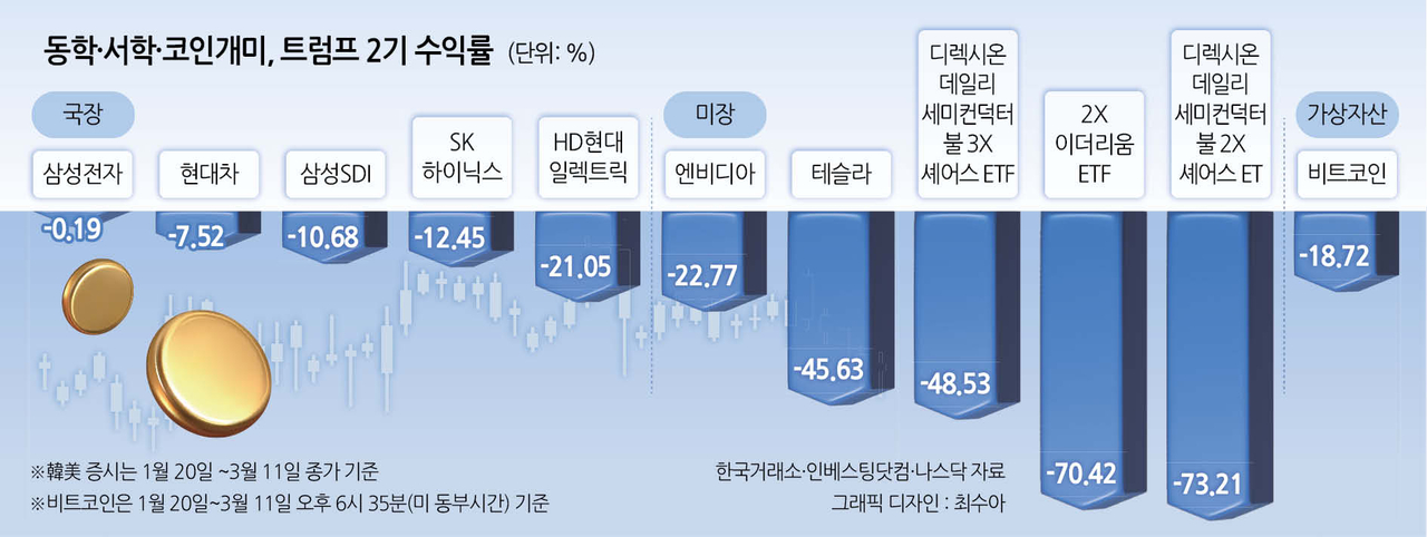 미장 이미지