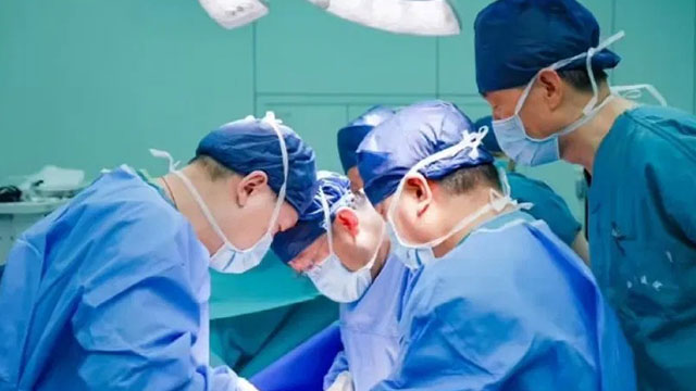 돼지통신 이미지