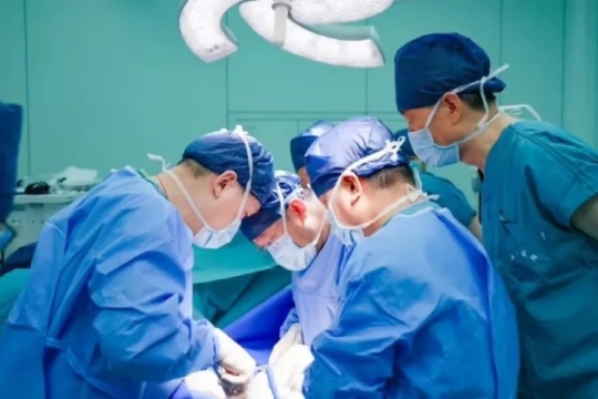 돼지통신 이미지