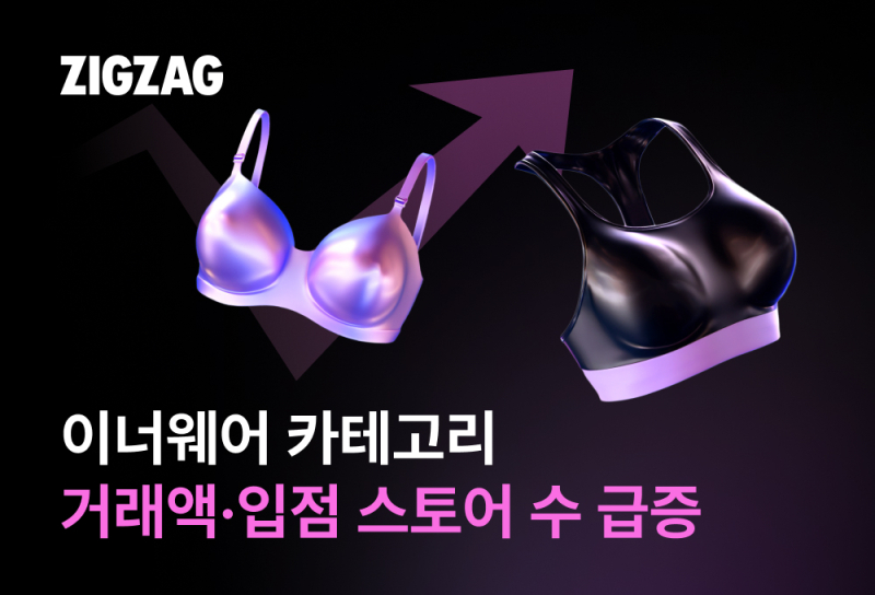 지그재그 이미지