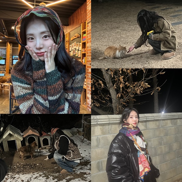 신시아 이미지