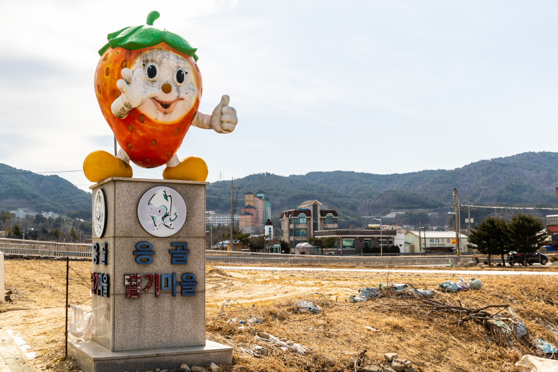 손끝에봄 이미지