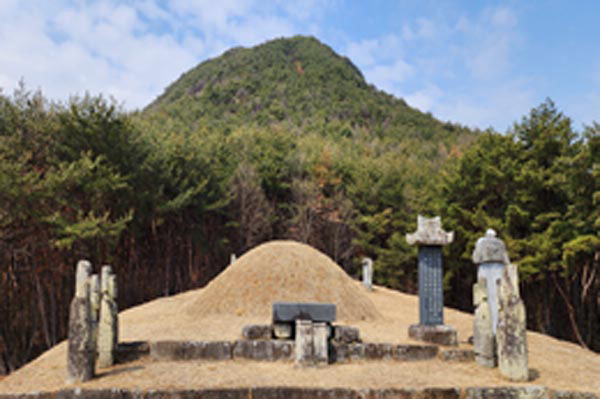 묘 이미지
