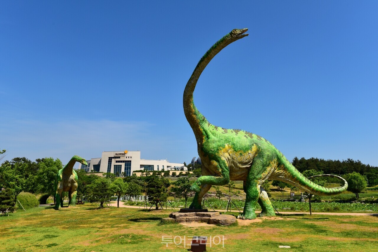 (주)동선관광 이미지