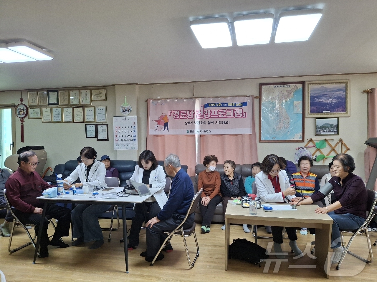 상록수 이미지