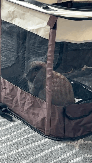 7eeef400bcf01e85239ef296379c7069bc79d2b6ac19a01714f31c22153c7ed11ae141d3e5e7ec1837d11267e5d9125d6663bb86eb