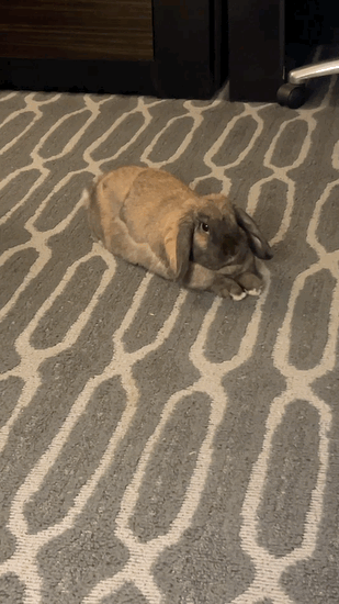 7eeff275b38a1cf123ef82e7379c706ebec33cf49861a28f5325f5688fc9a39188ad0ca9c4c682b4be99e33910012452f2b9c540fa