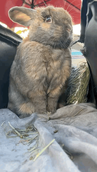 7aec8575c7801b8523e6f4ec429c706861e03708d5d8d7282c0412a60d531d589ab1ef371c3facfeb2615c5ff6b08097decfdbaf3a