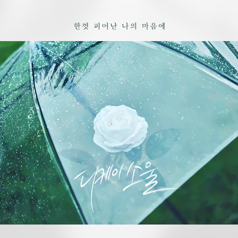 디케이 이미지