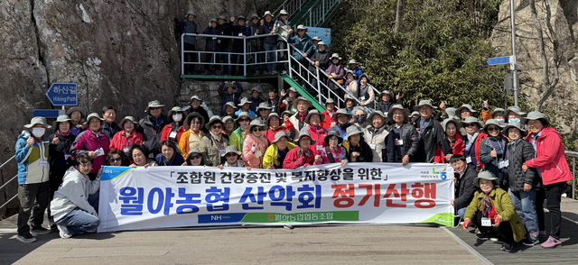 월야 이미지