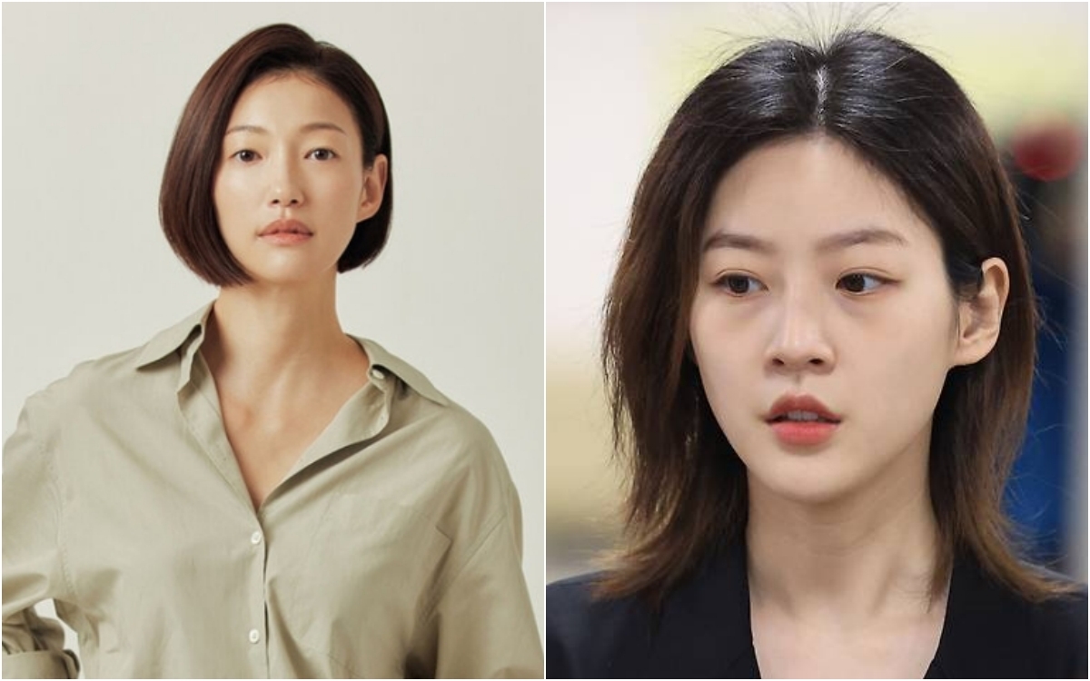와이이엘 이미지
