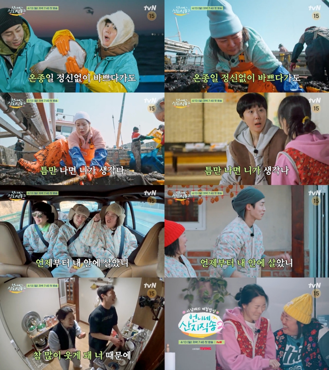언니네 이미지