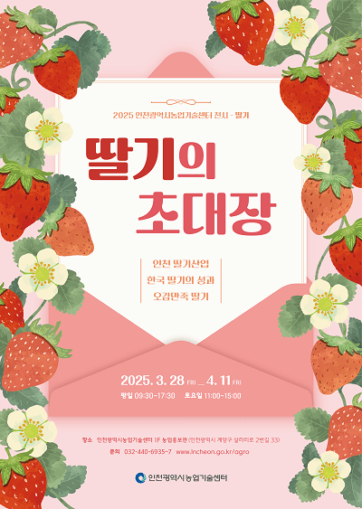 딸기 이미지
