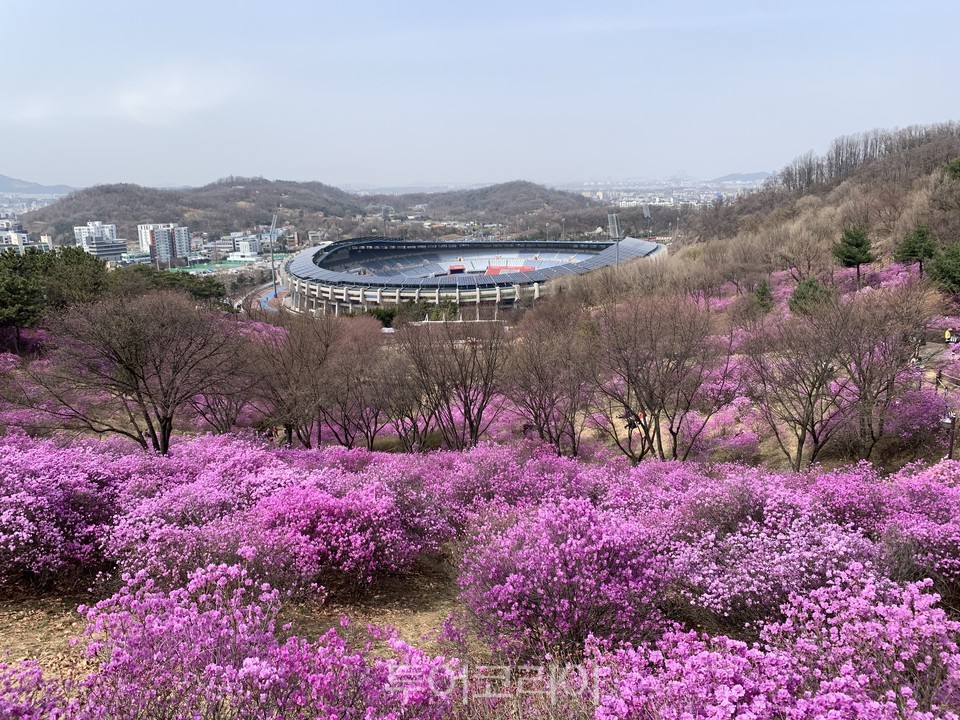 봄 이미지