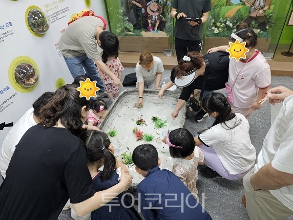 (주)나비투어 이미지