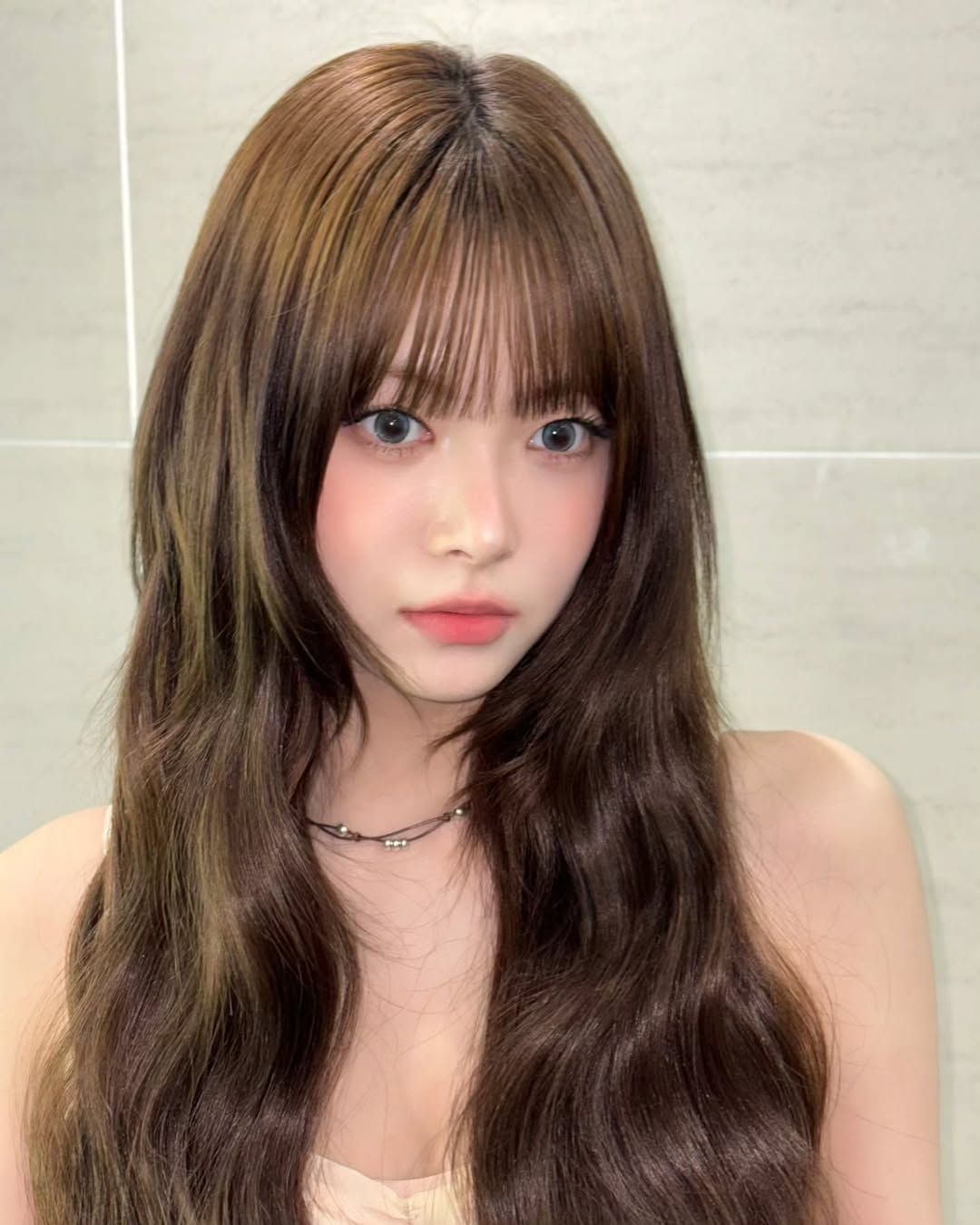 르무드헤어 이미지