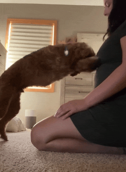 미국 미네소타주에 거주하는 여성이 반려견 덕에 유방암을 조기에 발견한 사연이 전해졌다. 사진=브리아나 보트너/데일리메일 캡처