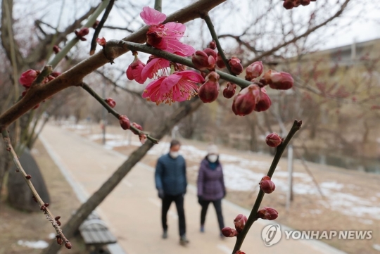 서쪽 이미지