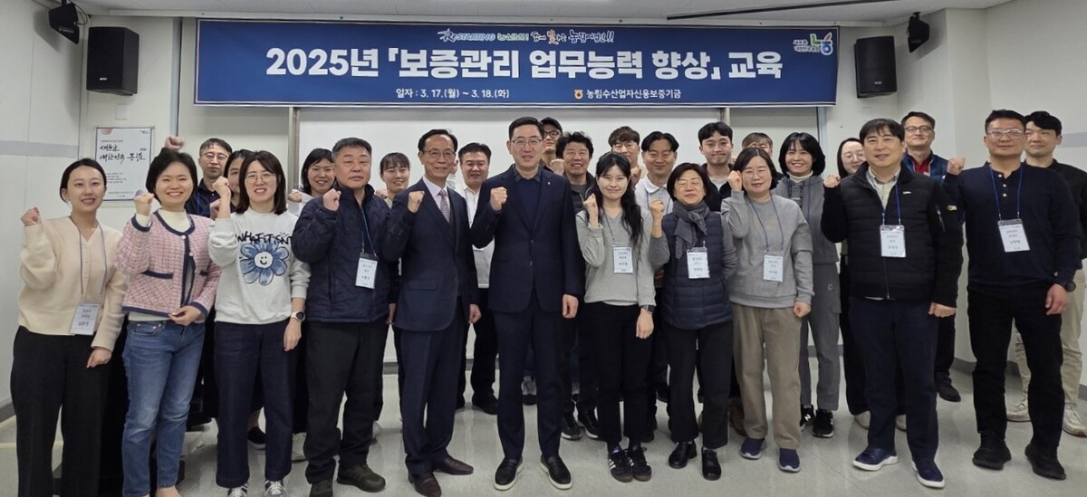 향상 이미지