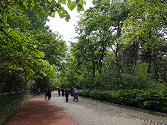 두류공원 이미지