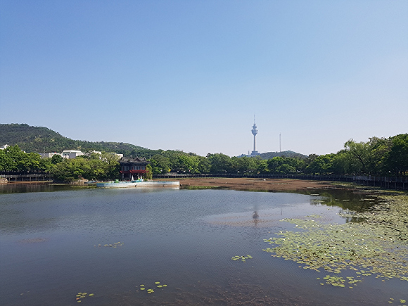 두류공원 이미지