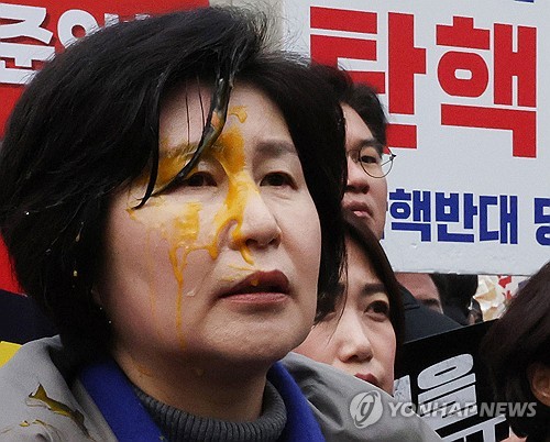 최** 이미지