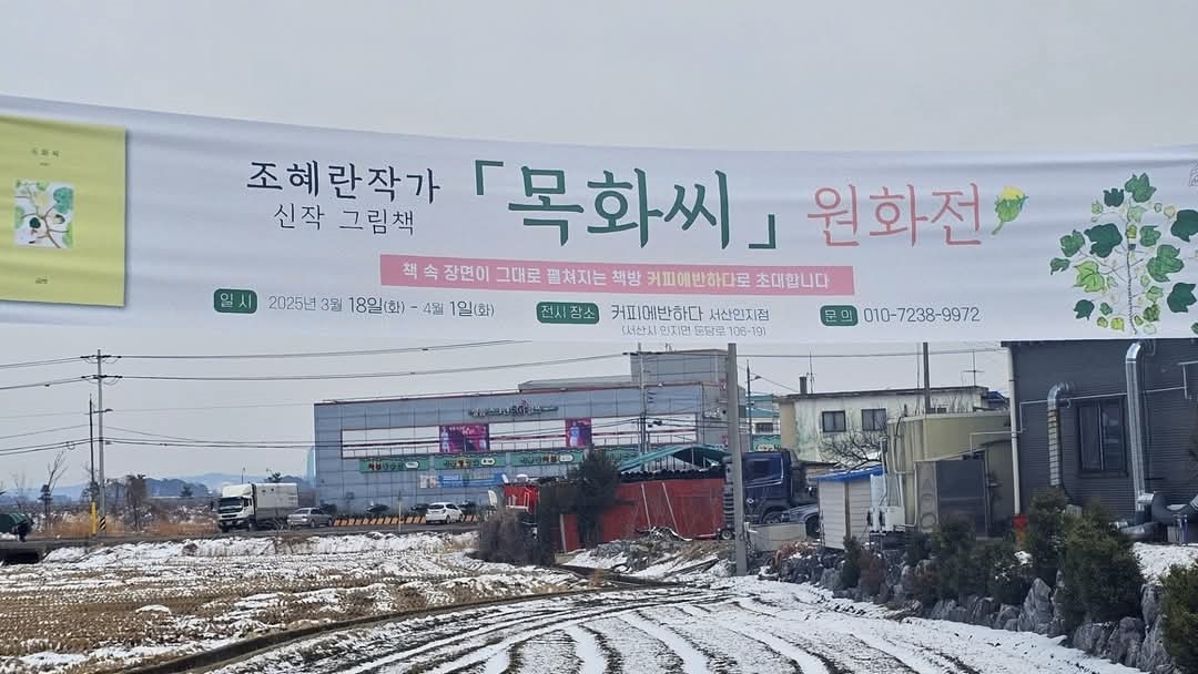 목화 이미지