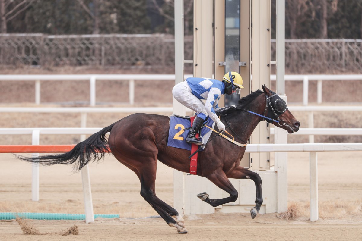퀸즈투어 이미지