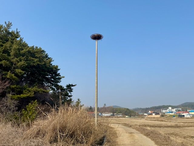 서산버드랜드사업소 이미지