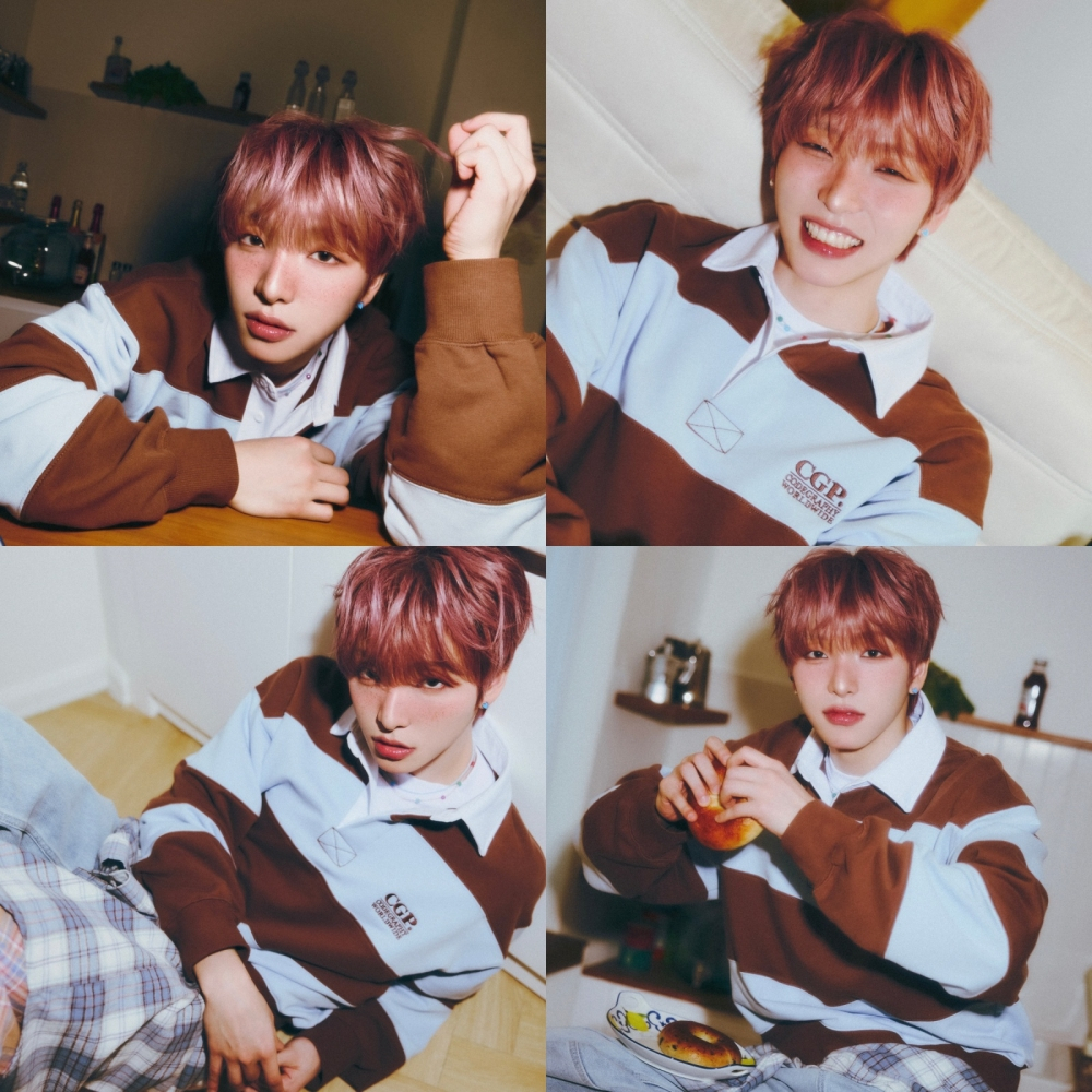 서호 이미지