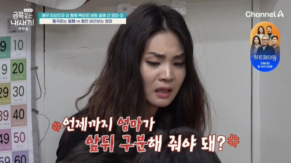 금쪽 이미지