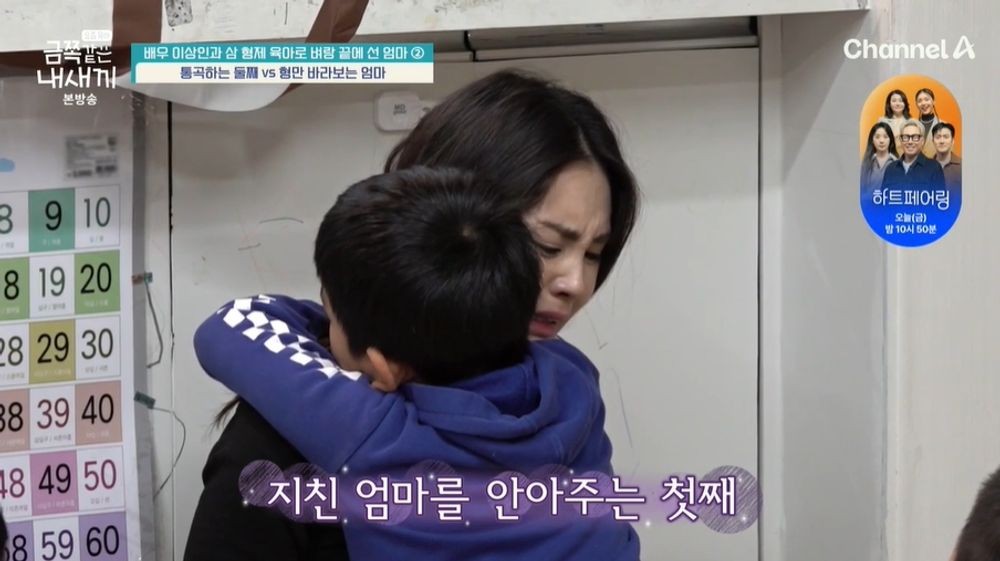 금쪽 이미지