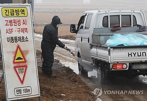 마리농장 이미지