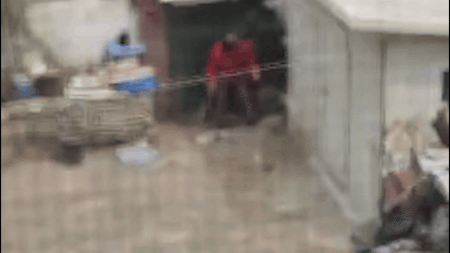 지난해 4월 8일 촬영한 학대 장면. 제보자 제공