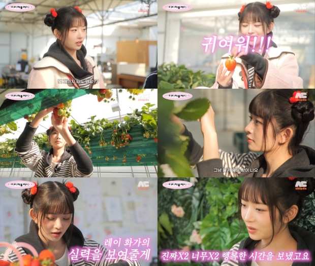 레이 이미지