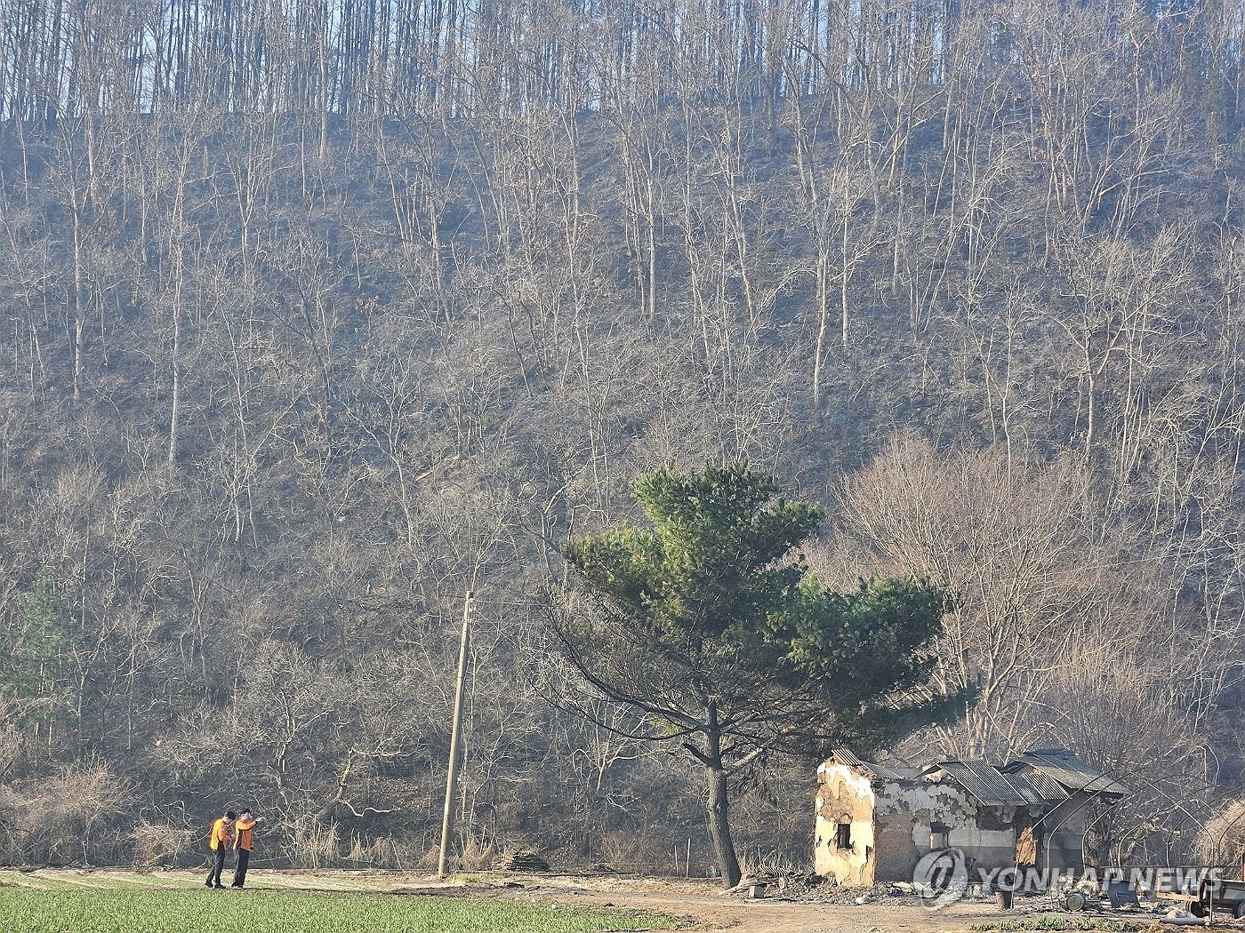 의성종합가구 이미지
