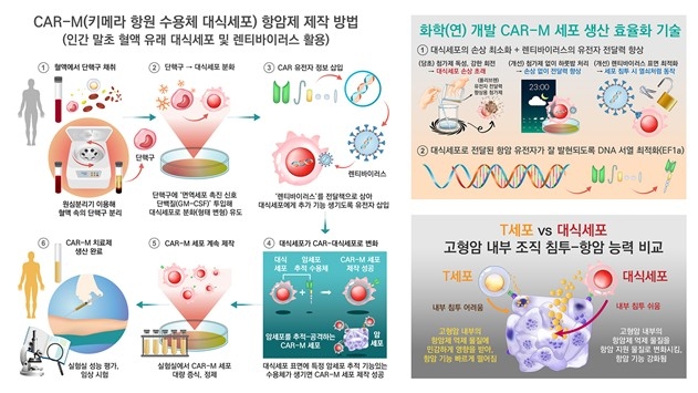 카엠 이미지