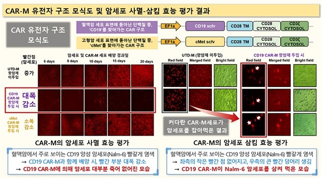 카엠 이미지