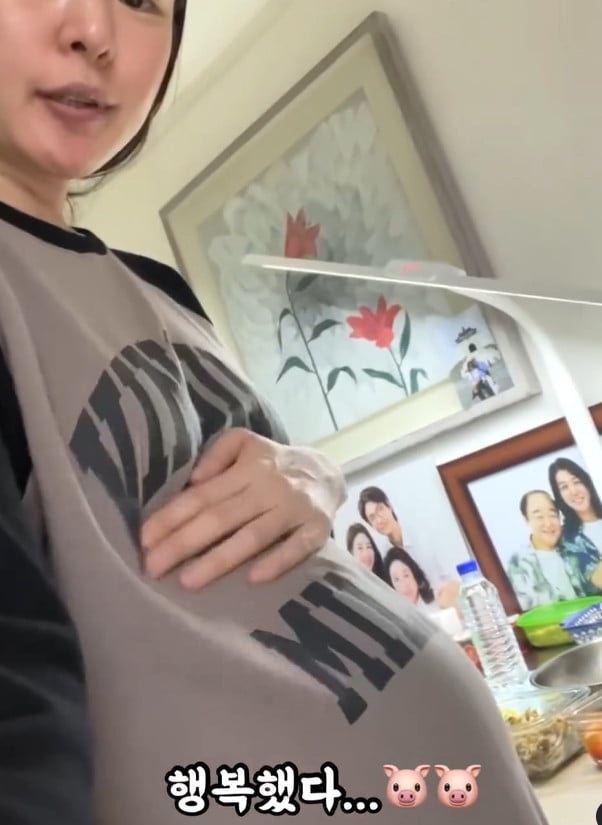 미자네 이미지