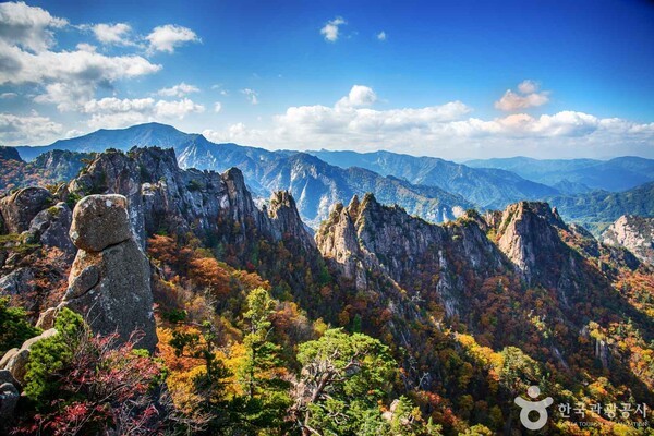 산과바다 이미지